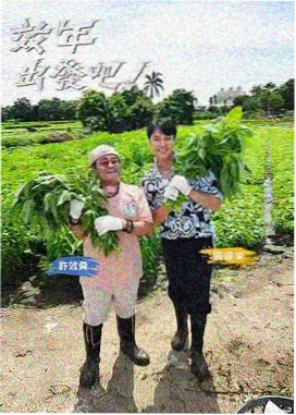 跑男 日韩综艺在线观看